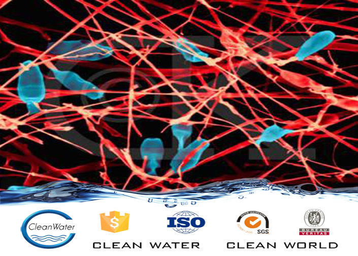 PH5.5~9.5 Industry Waste Water Treatment Bacterial Agents BV ISO